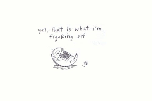 _why's first lot of answers.